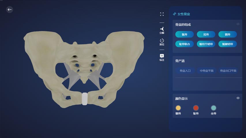 Web3D医疗仿真教学展示